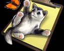 CuteClips - разнообразьте буфер обмена