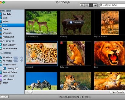 Web2 Delight - весь YouTube и Flickr в вашем iPod'е