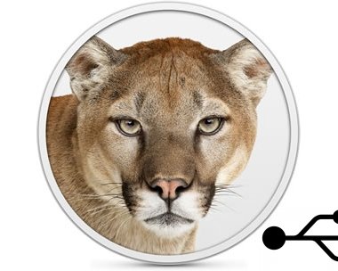 Как создать загрузочную флешку с Mountain Lion